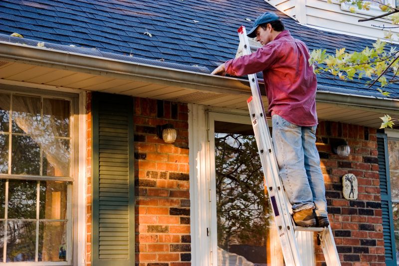 Local Roofing Experts